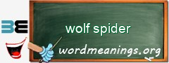 WordMeaning blackboard for wolf spider